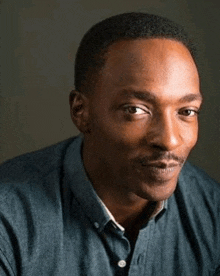 a man in a blue shirt is looking at the camera and has a mustache .