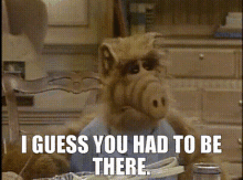 Alf I Guess You Had To Be There GIF