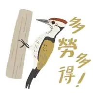 a woodpecker is climbing on a tree trunk with chinese writing behind it