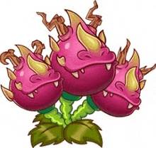 a cartoon illustration of a dragon fruit plant with three dragon fruits growing out of it .