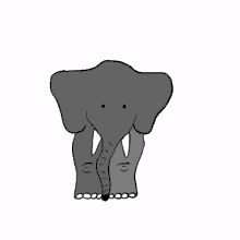 man elefant