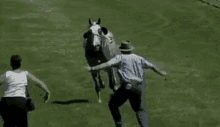 a horse is standing on top of a person in a wheelchair on a field .