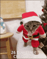 26 Days Until Christmas GIF - 26 Days Until Christmas GIFs