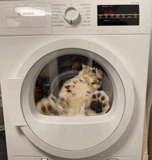 a bosch washer and dryer with a cat inside