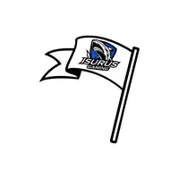 a flag with a shark on it that says ' isurus gaming '