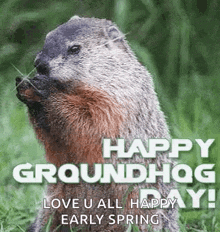 Happygroundhogday GIF - Happygroundhogday Groundhogday GIFs