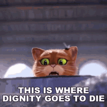 This Is Where Dignity Goes To Die Puss In Boots GIF - This Is Where Dignity Goes To Die Puss In Boots Puss In Boots The Last Wish GIFs