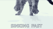Dancing Sinking Fast GIF - Dancing Sinking Fast GIFs