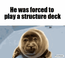 Stormbound Structure Deck GIF - Stormbound Structure Deck Crying Seal GIFs