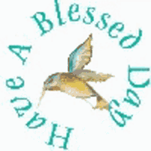 blessings have a blessed day bird blessed day