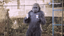 Monkey Ape GIF - Monkey Ape Gorilla GIFs