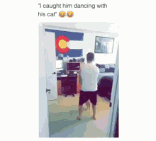 cat dancing pillada