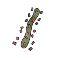 a colorful drawing of a snake with the letter b on the bottom right