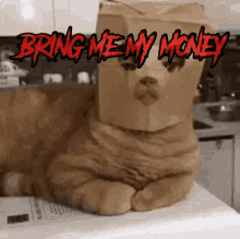 Bring Me My Money Business GIF - Bring Me My Money Business Cat GIFs