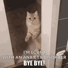 Abuse Abusive GIF