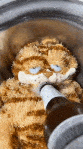 Garfield Drinking GIF - Garfield Drinking Toy GIFs