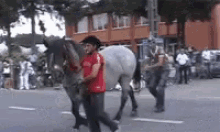 horse poke kick fail street