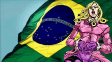 funny valentine jojo brazil brasil flag
