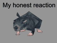 Rat Honest Reaction GIF - Rat Honest Reaction Honest Reaction Rat GIFs