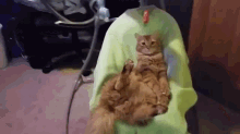 a cat is laying in a green blanket on a chair