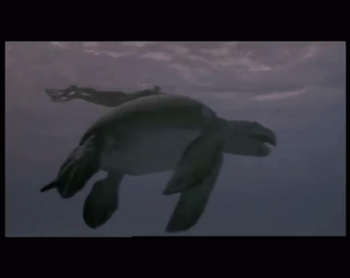 giant turtle monster