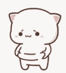 cute cat fat tummy sad
