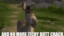 Shrek2 Donkey GIF - Shrek2 Donkey No More Itchy Buttcrack GIFs