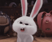 Rabbit Confused GIF - Rabbit Confused Huh GIFs