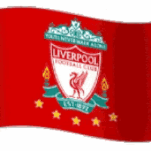 Liverpool Flag GIF