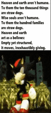 a picture of shadow the hedgehog with a caption that says heaven and earth aren t humane