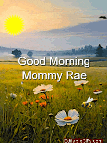 Good Morning Gif GIF - Good Morning Gif Good Morning Rae GIFs
