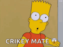 crikey mate bart ouch idiot shame