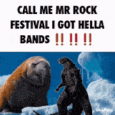 Megaman Jay Eazy GIF - Megaman Jay Eazy Call Me Mr Rock Festival I Got Hella Bands GIFs