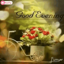 Good Evening Gifs GIF - Good Evening Gifs Wishes GIFs