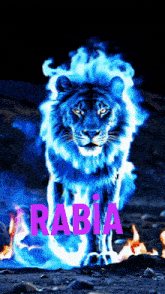 a picture of a lion with the name rabia written on the bottom
