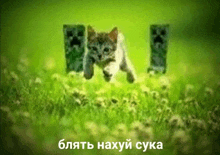 иди нахуй GIF