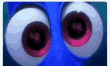 Dory Eyes Googly Eyes GIF - Dory Eyes Googly Eyes Looking GIFs