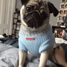 pug funny sweater toocute head to the side