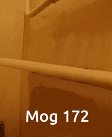 Mog Mogcat GIF - Mog Mogcat Mog 172 GIFs