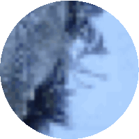 a blue circle with a blurred image of trees