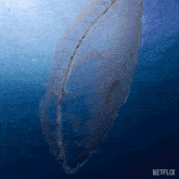 Floating In Water Our Living World GIF - Floating In Water Our Living World Underwater GIFs