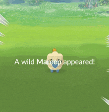 Mareep Pokemon GIF