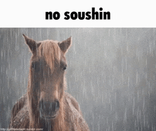 Soushin Rain Horse GIF - Soushin Rain Horse Yttd GIFs
