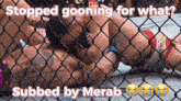 a picture of two men in a cage with the caption stopped going for what subbed by merab
