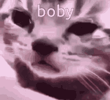 Tobias Crying Cat GIF