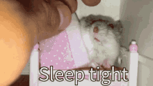 Sleep Tight GIF - Sleep Tight Hamster Tuckedin GIFs