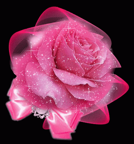 Rose Flower GIF  Rose Flower Pink  Discover  Share GIFs