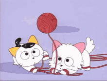 Tama And Friends GIF