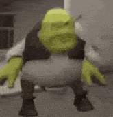 shrek is a cartoon character from the movie shrek and is standing in a room .
