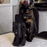 a cat sitting next to a microphone that has a button that says ' pause ' on it